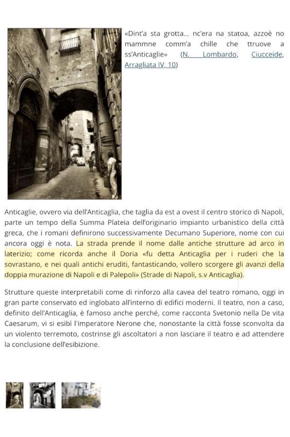 Anticaglia 13 Lejlighed Napoli Eksteriør billede